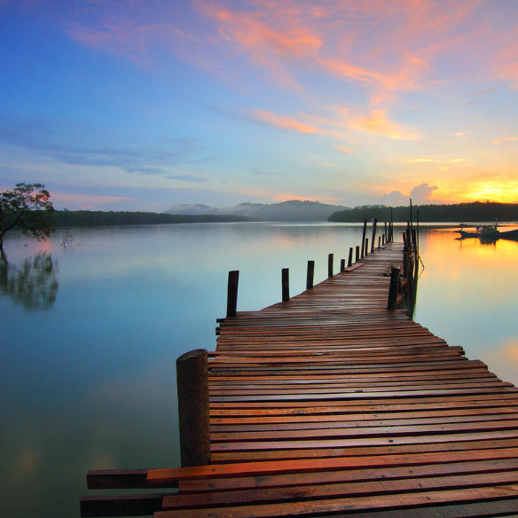 banner-two-image